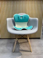 Soporte Ergonomico De Asiento